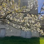 Maison Gabriel