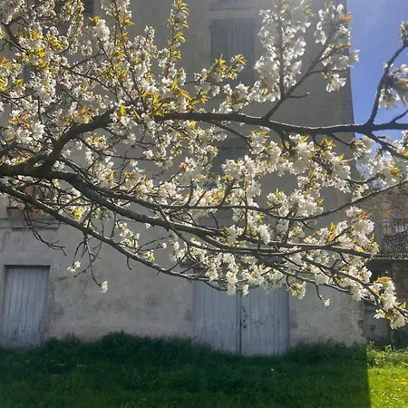 Maison Gabriel